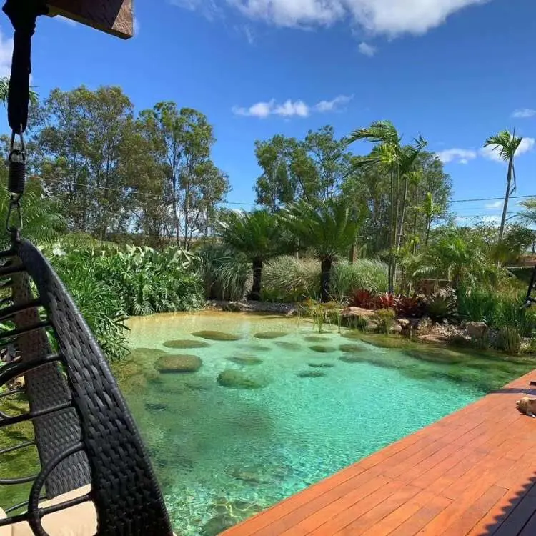 Piscina biológica com muitas árvores em volta e também um deck. 