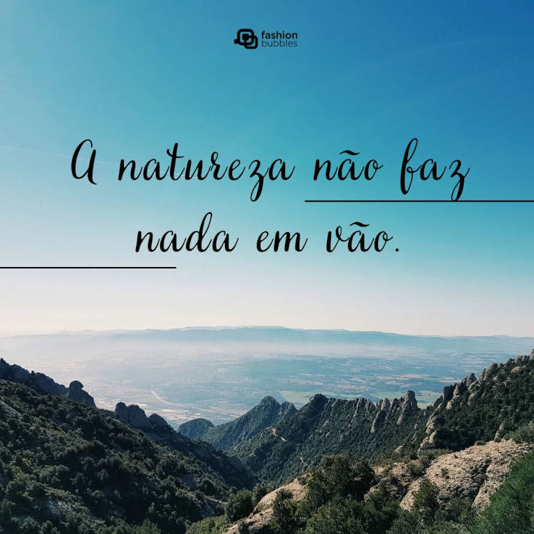 Foto de paisagem montanhosa e frase "A natureza não faz nada em vão."