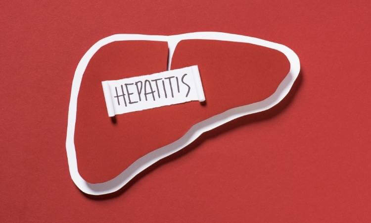 Fígado com hepatite.