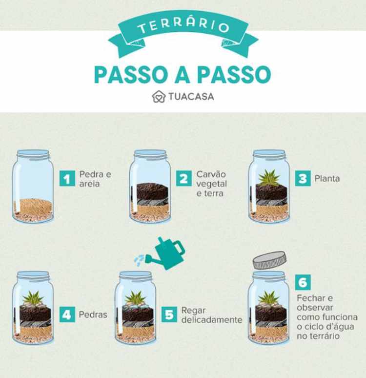passo a passo para fazer terrário