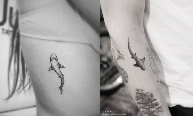 tattoo de tubarão 
