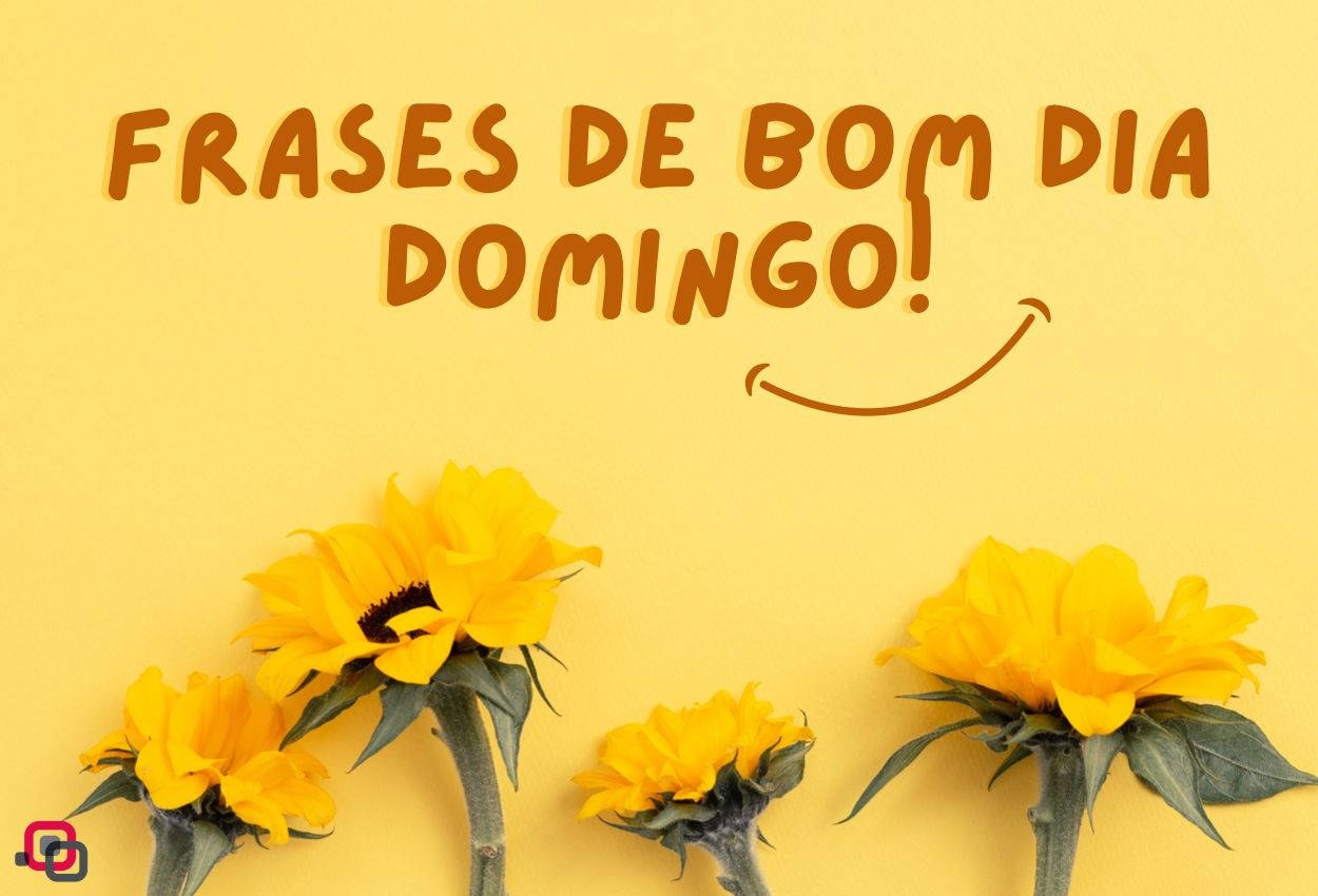 Frases de bom dia no domingo