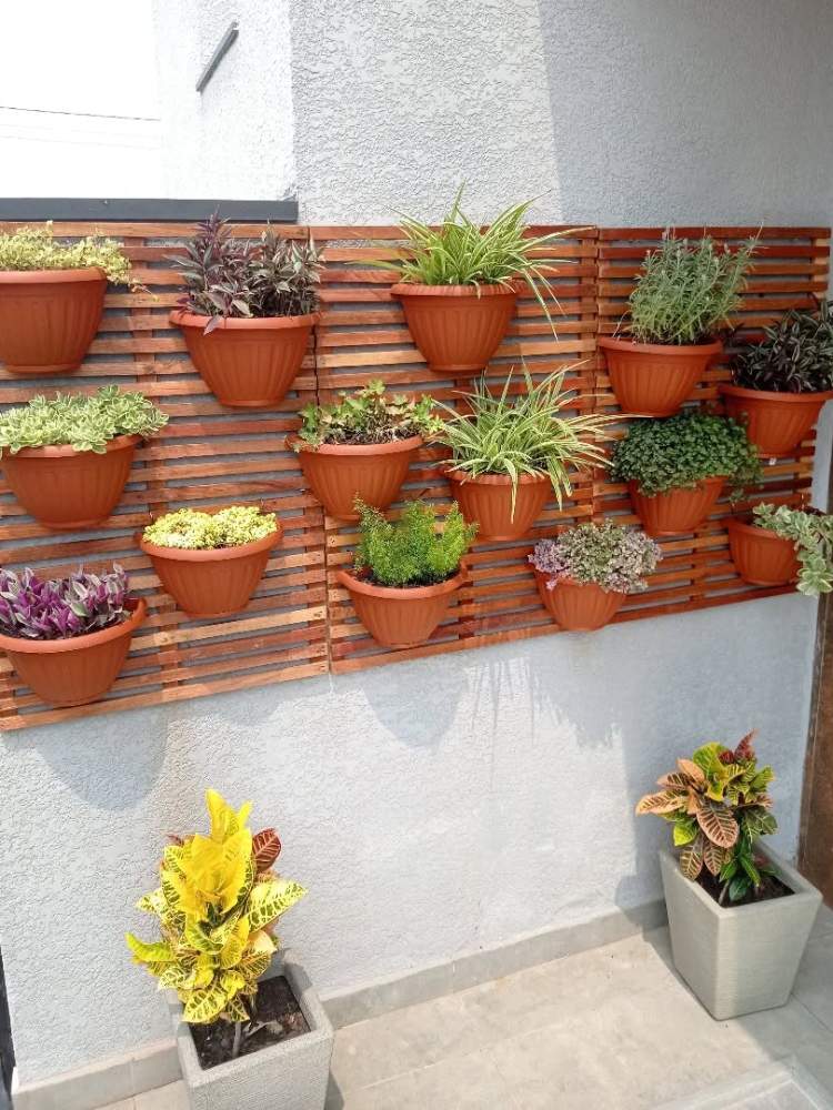 Muro com jardim suspenso feito com pallet e vasos marrons 