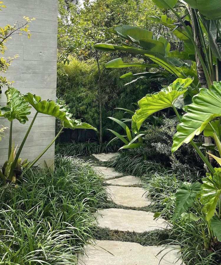 Caminho verde com pedra São Tomé