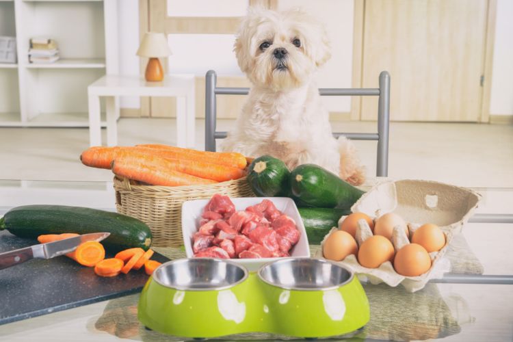Cão pequeno sentado à mesa, cercado por alimentos frescos para uma dieta natural. Ingredientes incluem cenouras, abobrinhas, carne crua, ovos e uma tigela verde com pratos duplos de comida. O cenário mostra um ambiente doméstico iluminado e organizado.