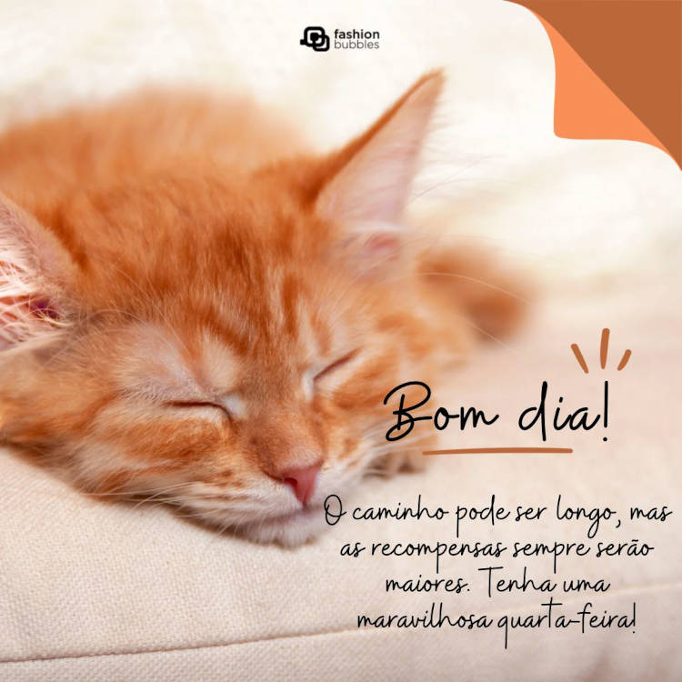 O caminho pode ser longo, mas as recompensas sempre serão maiores. Tenha uma maravilhosa quarta-feira! Frase de bom dia para uma maravilhosa quarta-feira