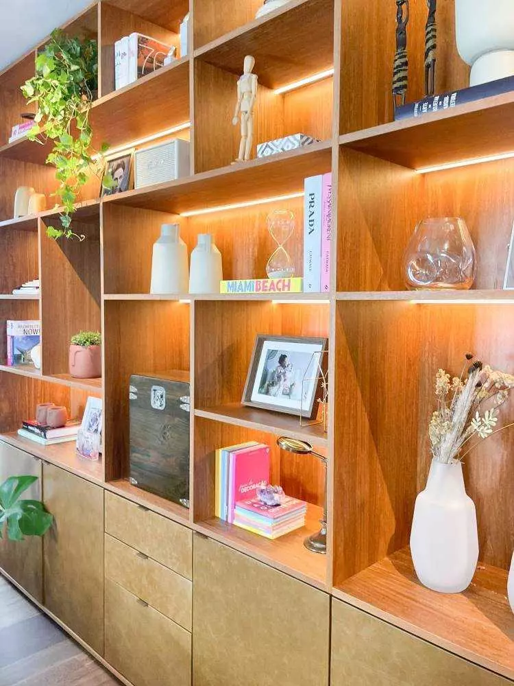 Estante de madeira com iluminação. Nela há vasos de plantas, diversos itens decorativos, livros e quadros. 