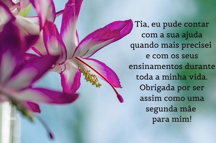 mensagem de dia das mães para tia, com foto de flor roxa e branca  e frase "Tia, eu pude contar com a sua ajuda quando mais precisei e com os seus ensinamentos durante toda a minha vida. Obrigada por ser assim como uma segunda mãe para mim! " 