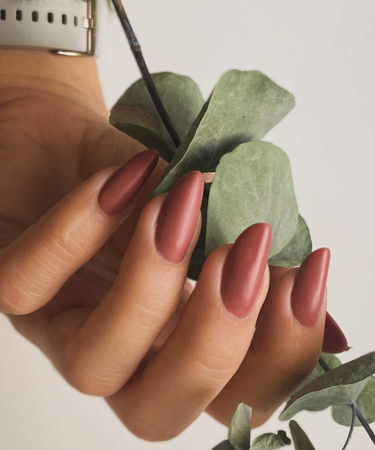 Mão feminina com unhas longas no formato stiletto, pintadas na cor mocha mousse, um tom terroso acolhedor. A mão segura delicadamente folhas de eucalipto verdes sobre fundo neutro, criando uma composição suave e moderna alusiva às tendências de 2025.





