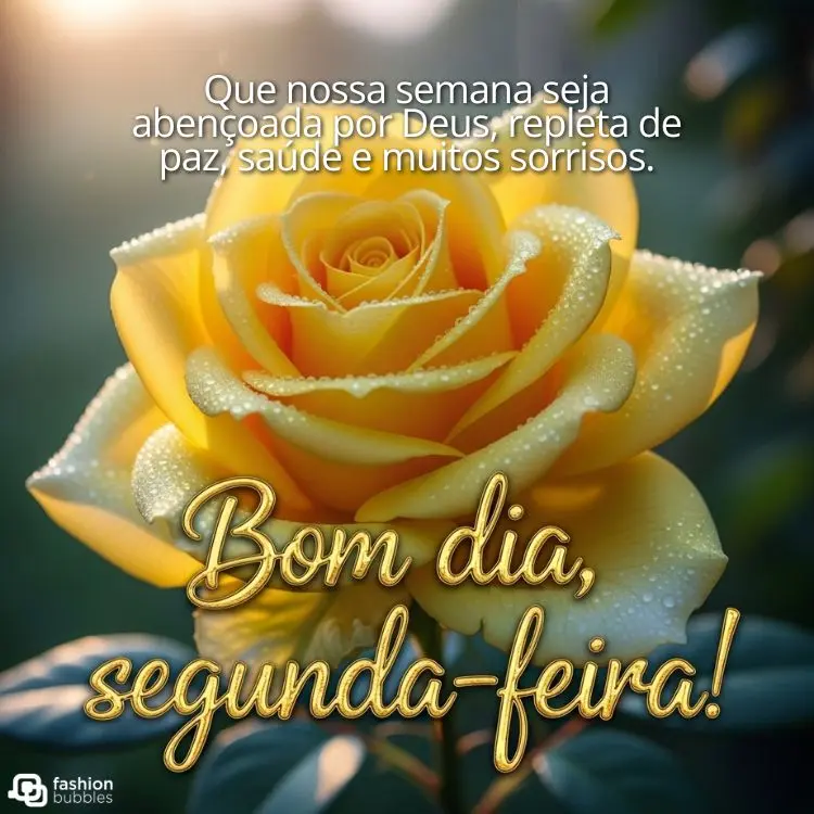 A imagem exibe uma rosa amarela vibrante, com gotículas de orvalho em suas pétalas. No canto superior, há a frase "Que nossa semana seja abençoada por Deus, repleta de paz, saúde e muitos sorrisos." A frase "Bom dia, segunda-feira!" se destaca na parte inferior.







