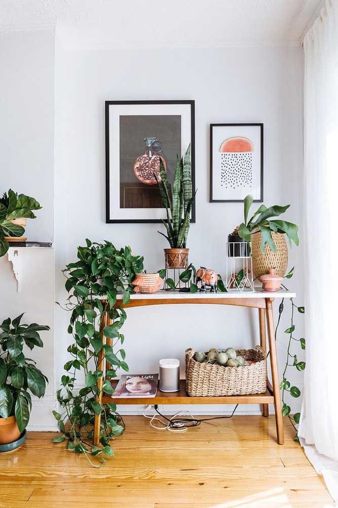 Jiboia em aparador de madeira com tampo branco, ao lado de outros vasos com diversas plantas, cesto de palha decorativo e dois quadros na parede
