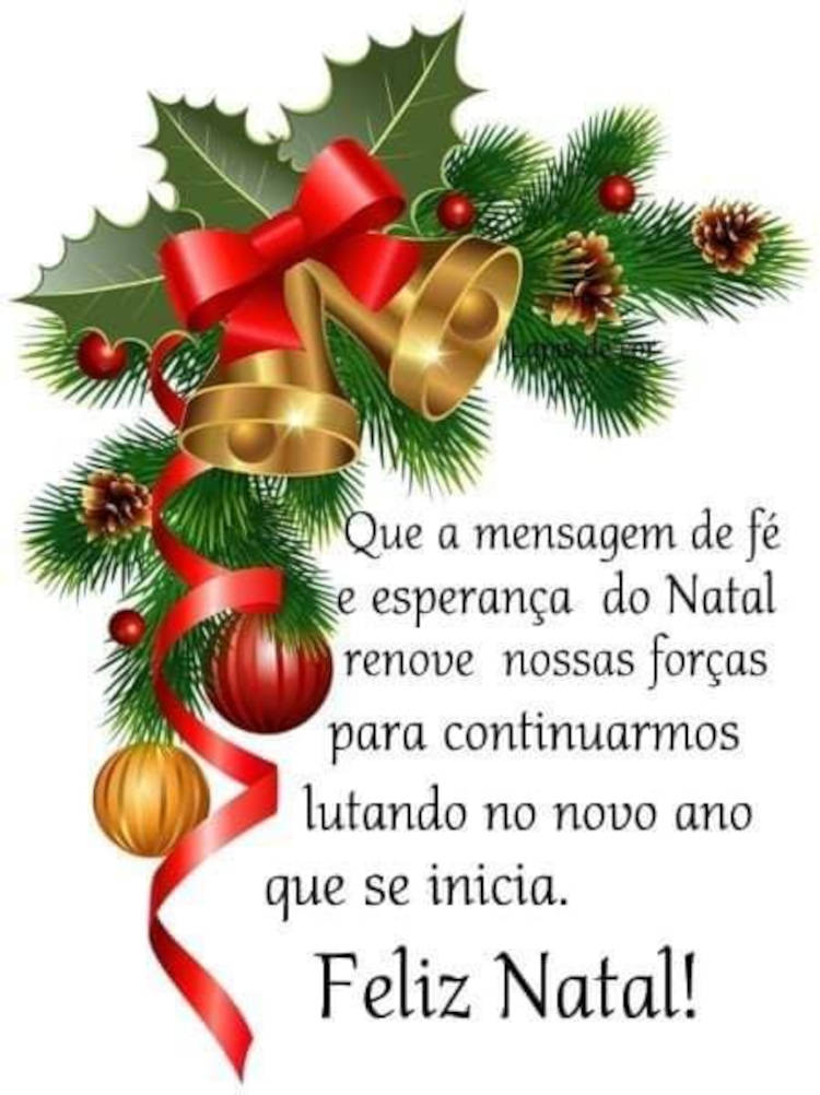 Cartão virtual de fundo branco com desenho de flores, pinhão, sino, enfeites e laço, além de frase: Que a mensagem de fé e esperança do Natal renove nossas forças para continuarmos lutando no novo ano que se inicia.  