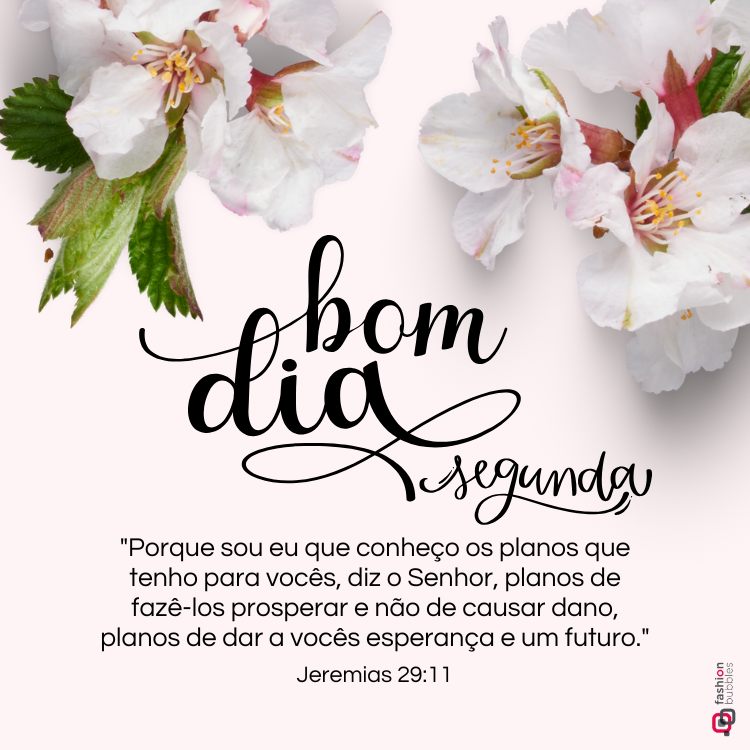 A imagem apresenta flores brancas com detalhes rosados nos cantos superiores, sobre um fundo rosa claro. Centralizado, está escrito "bom dia segunda" em fontes cursivas elegantes. Abaixo, o versículo Jeremias 29:11 fala sobre os planos de Deus.