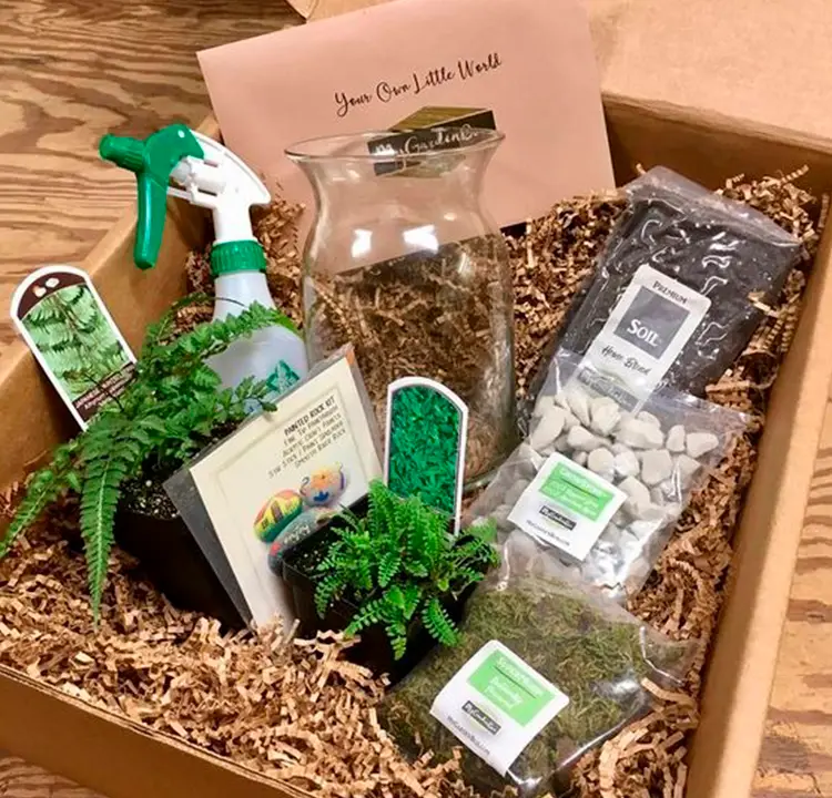 Cesta com plantas e ferramentas de jardinagem