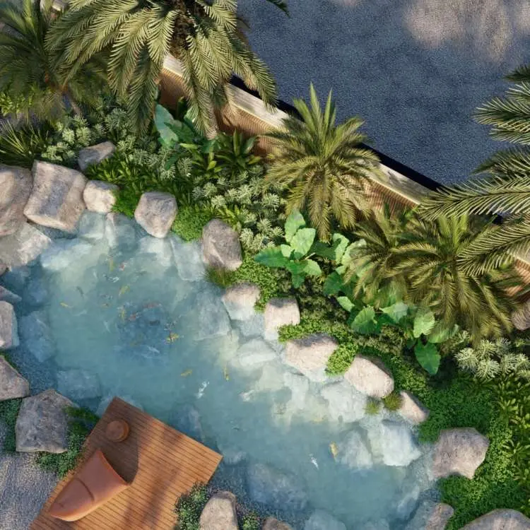 Vista de cima de uma piscina biológica com águas claras, pedras brancas e muitas plantas ao redor. 