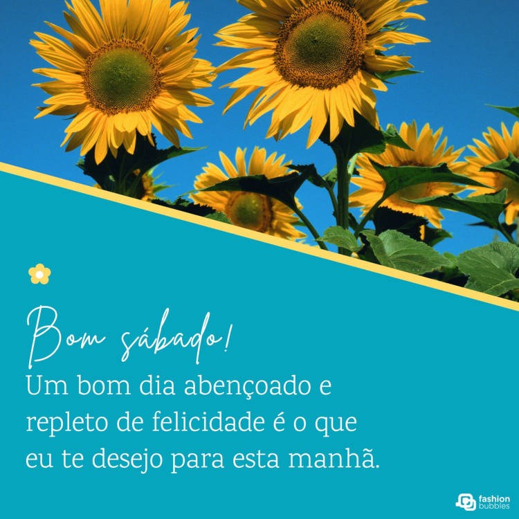 Foto de girassóis com fundo azul e frase "Um bom dia abençoado e repleto de felicidade é o que eu te desejo para esta manhã. Bom sábado!"