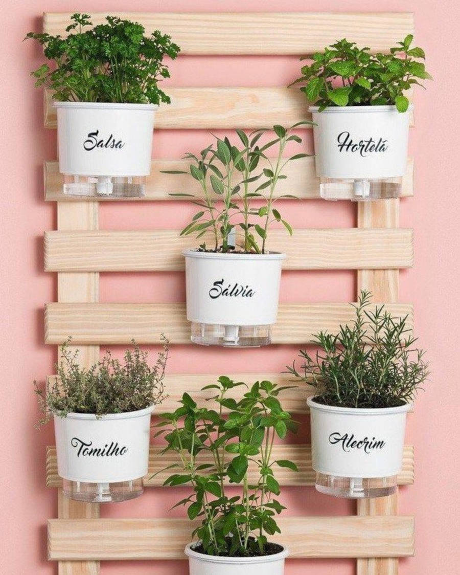 Horta vertical em pallet.