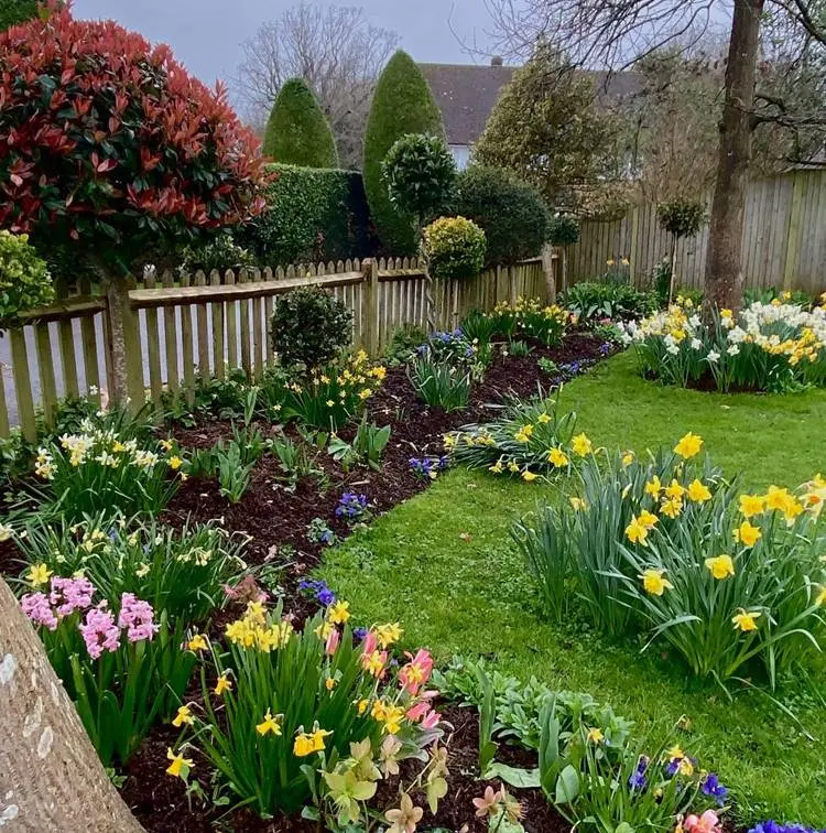 Jardim com flores coloridas, cerca de madeira ao redor e outras formas podadas.