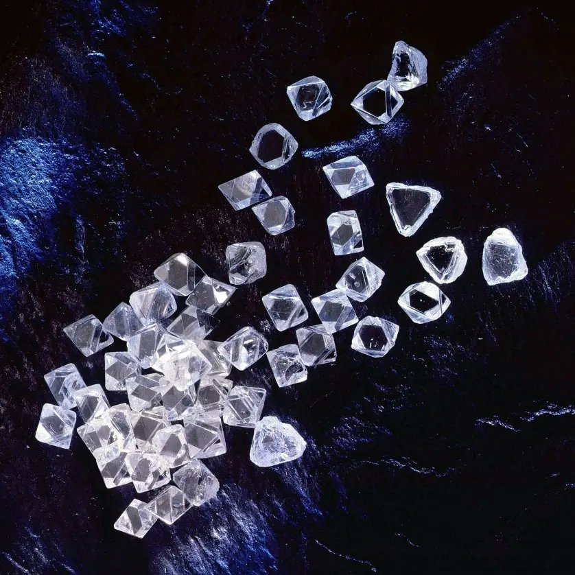 image003