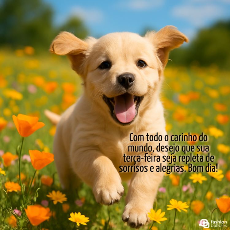 A imagem apresenta um filhote de golden retriever adorável correndo e sorrindo, com a língua para fora, em um campo vibrante de flores amarelas e laranjas. O fundo desfocado adiciona profundidade. A frase "Com todo o carinho do mundo, desejo que sua terça-feira seja repleta de sorrisos e alegrias. Bom dia!" está sobreposta.







