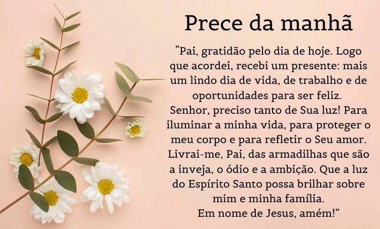 Fundo rosa com margaridas e prece da manhã