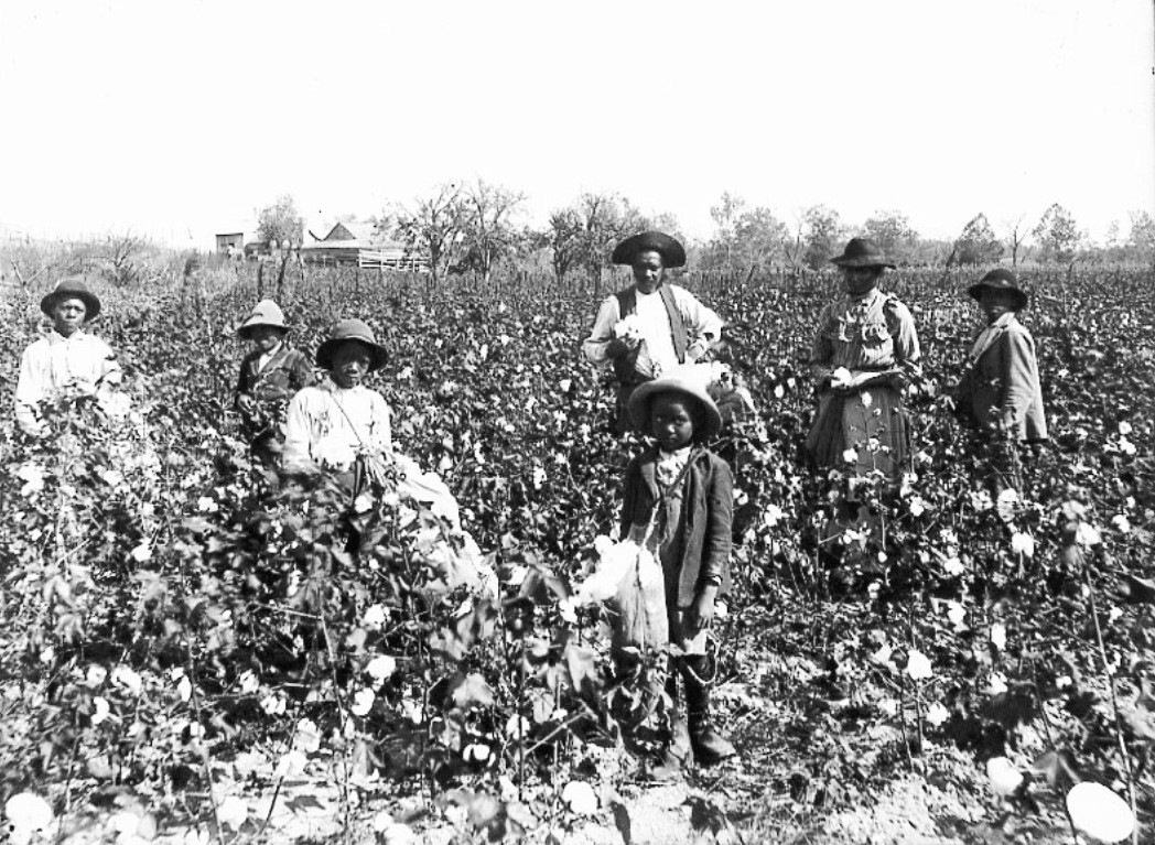 Trabalhadores negros em um fazenda de algodão nos Estados Unidos, c. 1890. Trabalhadores negros em um fazenda de algodão nos Estados Unidos, c. 1890.