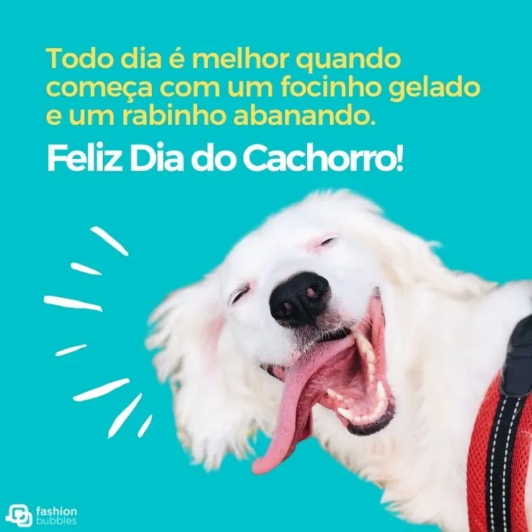 Frase de feliz Dia do Cachorro
