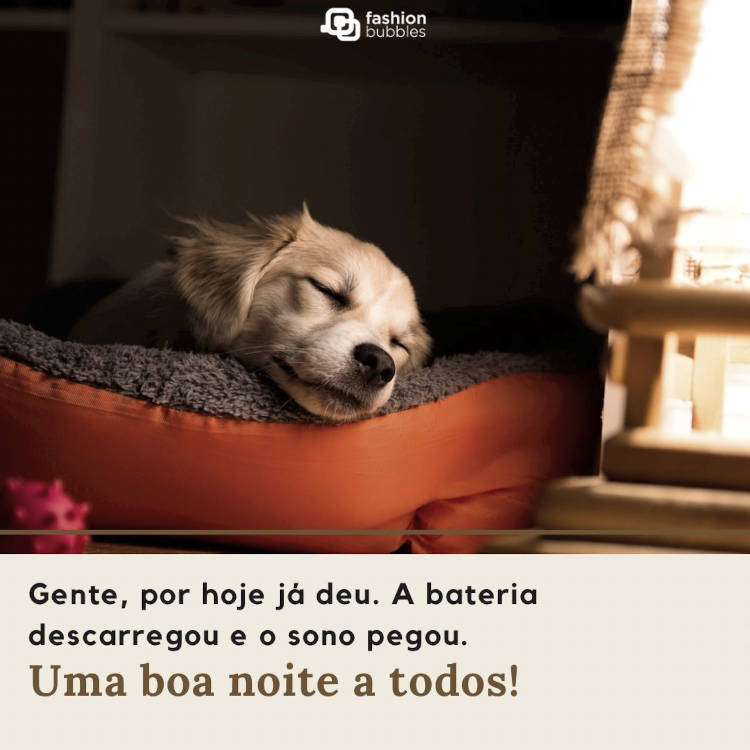 Foto de cachorro filhote bege deitado em caminha cinza e laranja, além de frase "Gente, por hoje já deu. A bateria descarregou e o sono pegou. Um boa noite a todos!"