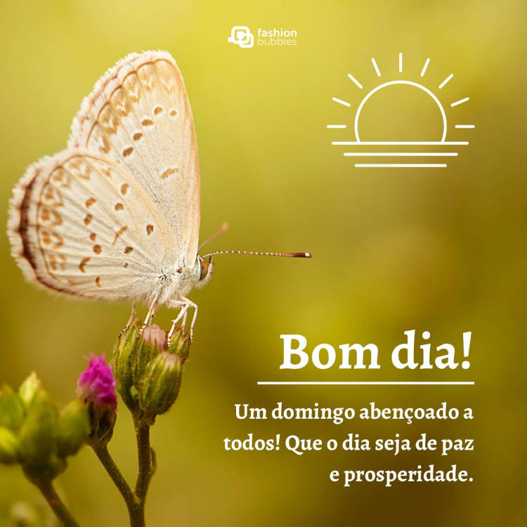 Frase de bom dia domingo abençoado escrita sobre foto de borboleta branca
