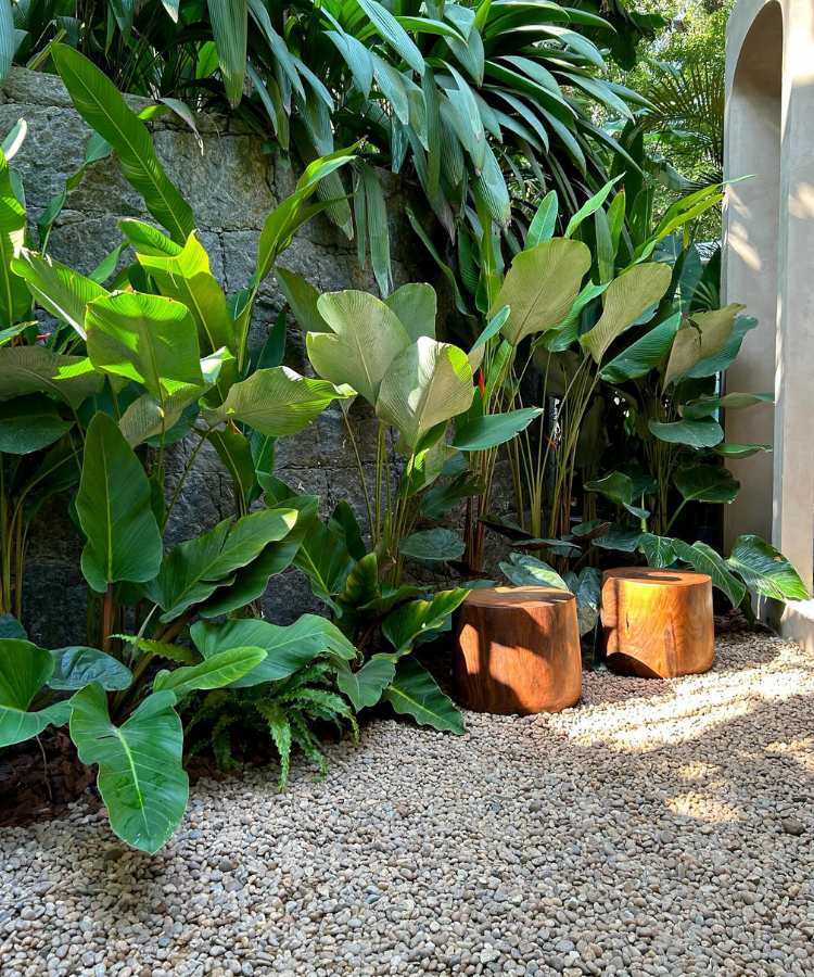 Jardim com pedras, plantas e bancos de madeira