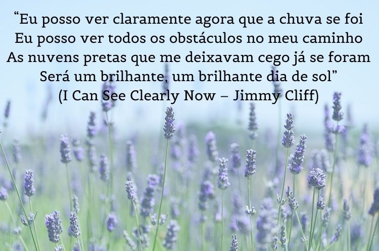 Foto de plantação de lavanda e frase “Eu posso ver claramente agora que a chuva se foi / Eu posso ver todos os obstáculos no meu caminho / As nuvens pretas que me deixavam cego já se foram / Será um brilhante, um brilhante dia de sol” (I Can See Clearly Now – Jimmy Cliff)
