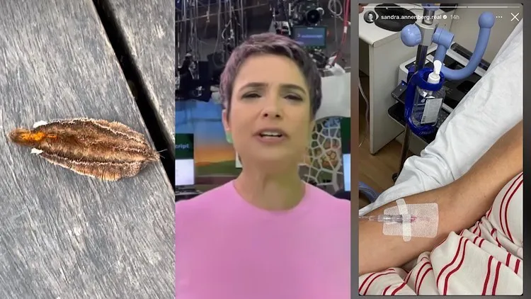 Sandra Annenberg leva ferroada de taturana.