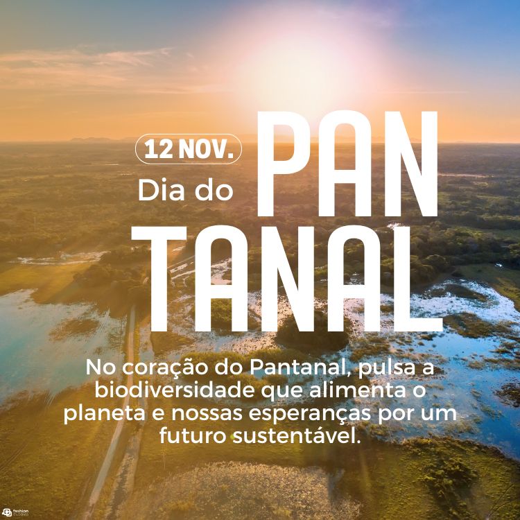 Foto vista de cima em nascer do sol no Pantanal e frases "12 de nov. Dia do Pantanal" e "Hoje, mais do que nunca, precisamos nos unir para proteger o Pantanal e sua biodiversidade."