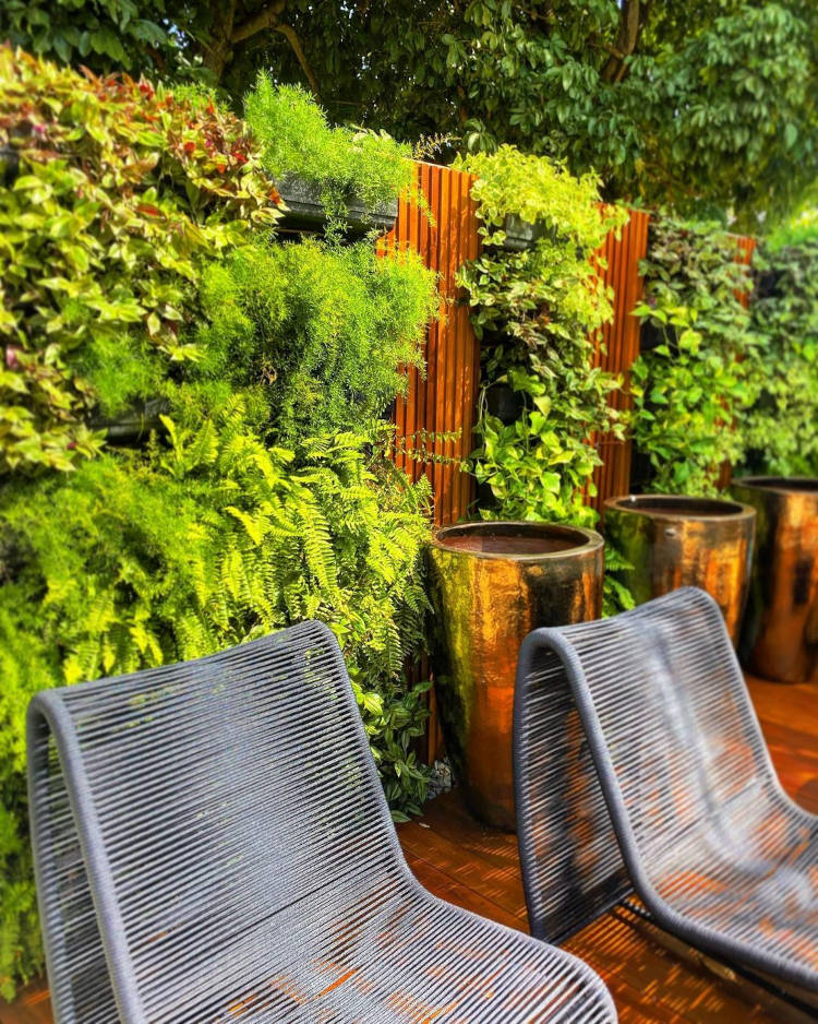 Muro de madeira com plantas.