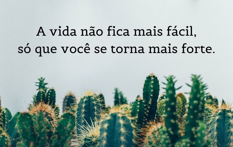 frase de reflexão curta