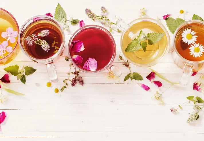Superfície branca com xícaras de chá com diferentes plantas