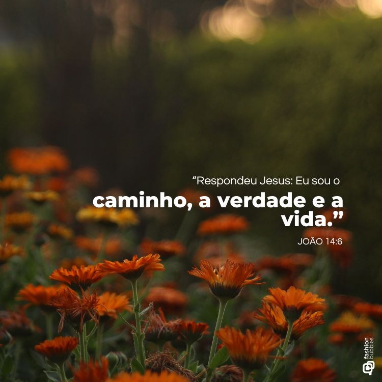 A imagem exibe um campo com flores laranjas em destaque, sob um fundo desfocado verde escuro. No centro-direito, está o versículo: "Respondeu Jesus: Eu sou o caminho, a verdade e a vida." - João 14:6.