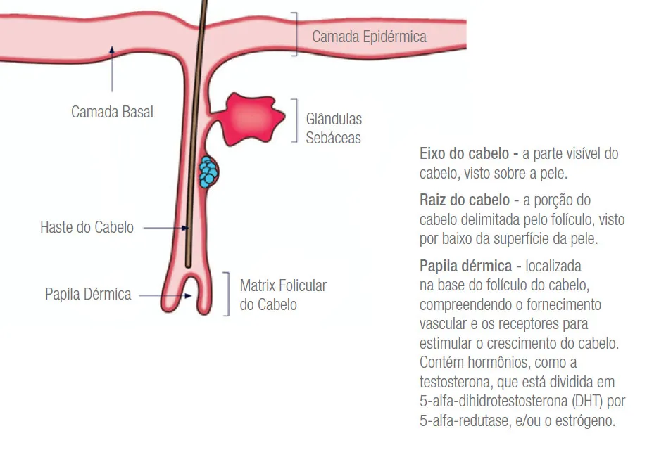 As partes dos fios.