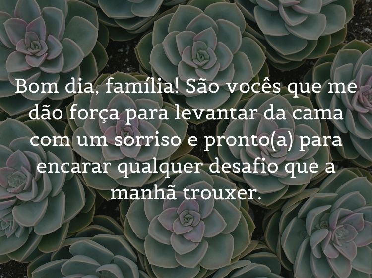 Foto de flores verdes e frase: Bom dia, família! São vocês que me dão força para levantar da cama com um sorriso e pronto(a) para encarar qualquer desafio que a manhã trouxer.