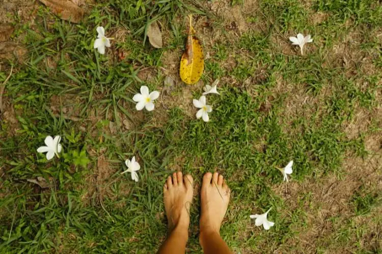Pisar na grama para campo energético