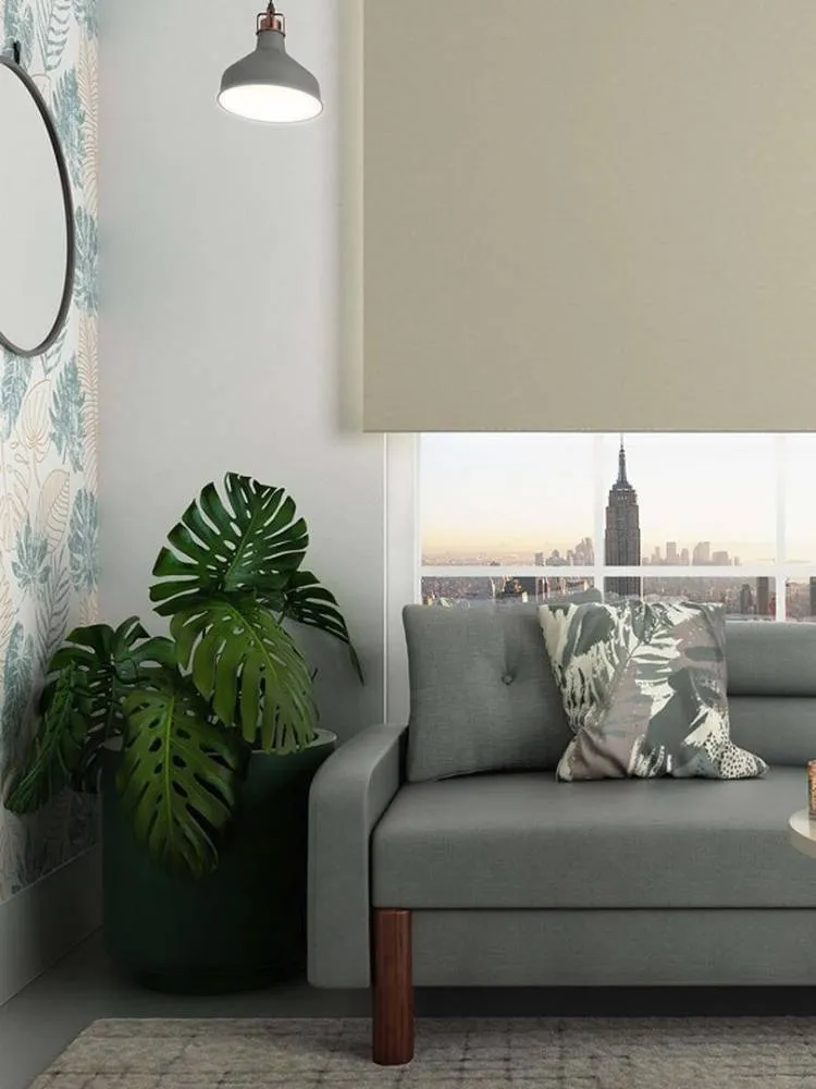 Foto de uma sala de estar com um sofá cinza e, sobre ele, duas almofadas em tons de cinza. Há, ainda, um vaso de Monstera no canto, próximo a uma parede com papel de parede de Monstera deliciosa.