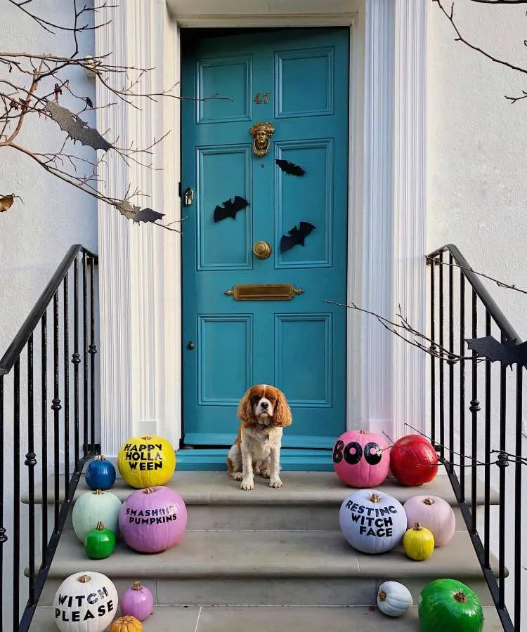 Entrada de casa com porta azul com morcegos pregados, escada com cachorro sentado e abóboras coloridas e com frases 