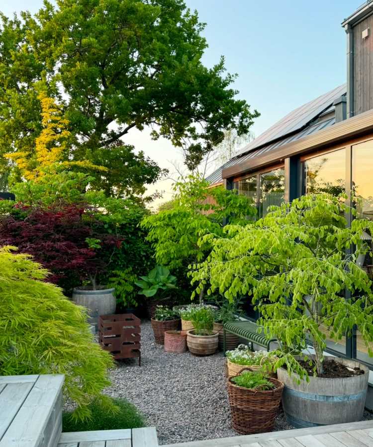 Jardim com chão de brita, árvores vibrantes, vasos rústicos de madeira e vime com plantas, ao lado de uma casa moderna com janelas amplas de vidro refletindo o céu. Há um banco verde e um ambiente acolhedor ao entardecer.