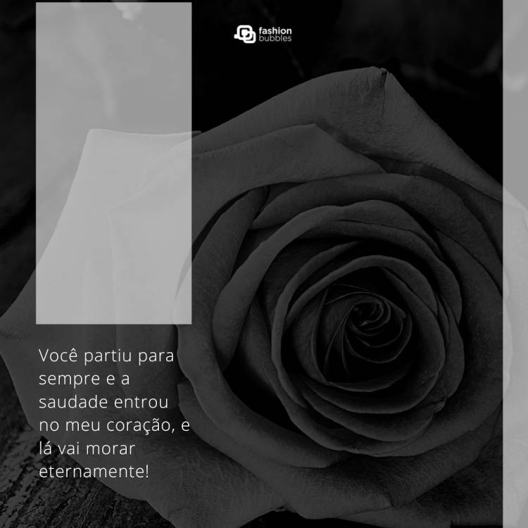 Mensagem de latim: Você partiu para sempre e a saudade entrou no meu coração, e lá vai morar eternamente! Mensagem "Você partiu para sempre e a saudade entrou no meu coração, e lá vai morar eternamente!" escrita em foto preta e branca de rosa