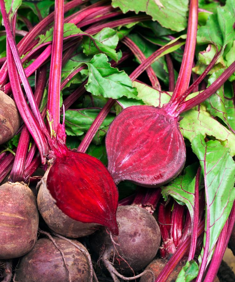 Uma pilha de beterrabas frescas, algumas inteiras, outras cortadas ao meio para mostrar o interior carmesim. Caules magenta e folhas verdes escuras emergem da pilha, criando um contraste de cores e texturas.