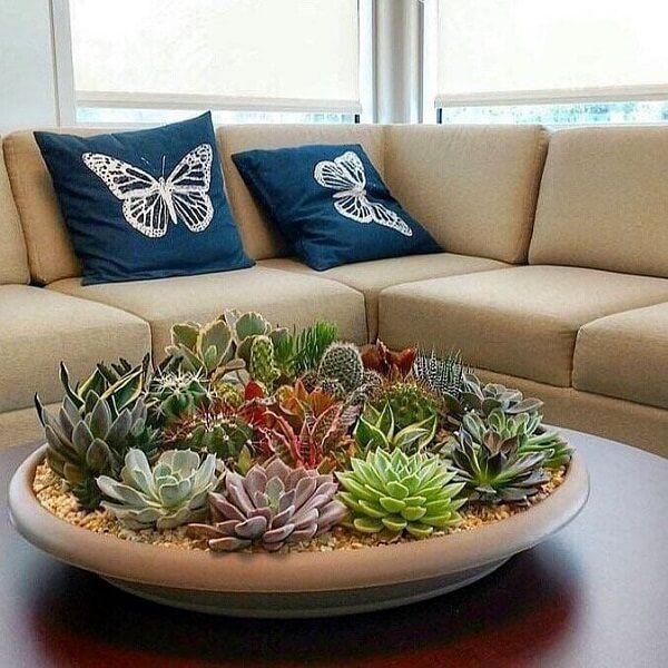 Terrário de suculentas na mesa de centro, próxima a sofá bege com duas almofadas azuis de borboleta branca.