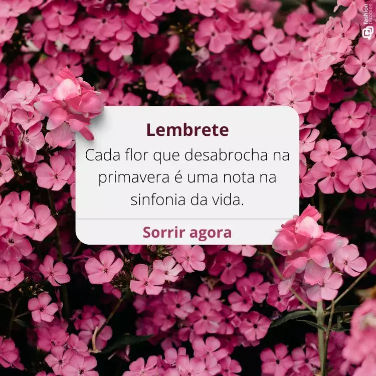 A imagem apresenta flores rosas vibrantes. No centro, um lembrete diz: "Cada flor que desabrocha na primavera é uma nota na sinfonia da vida." A frase "Sorrir agora" está abaixo, evocando frases de primavera.


