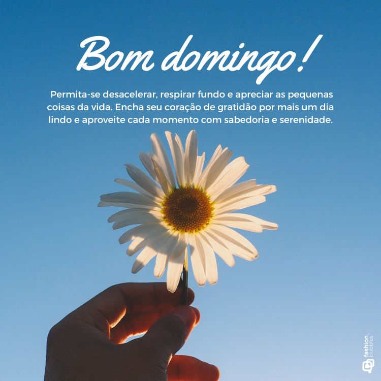 Mensagem de bom dia domingo escrita em foto de mão segurando margarida em fundo azul