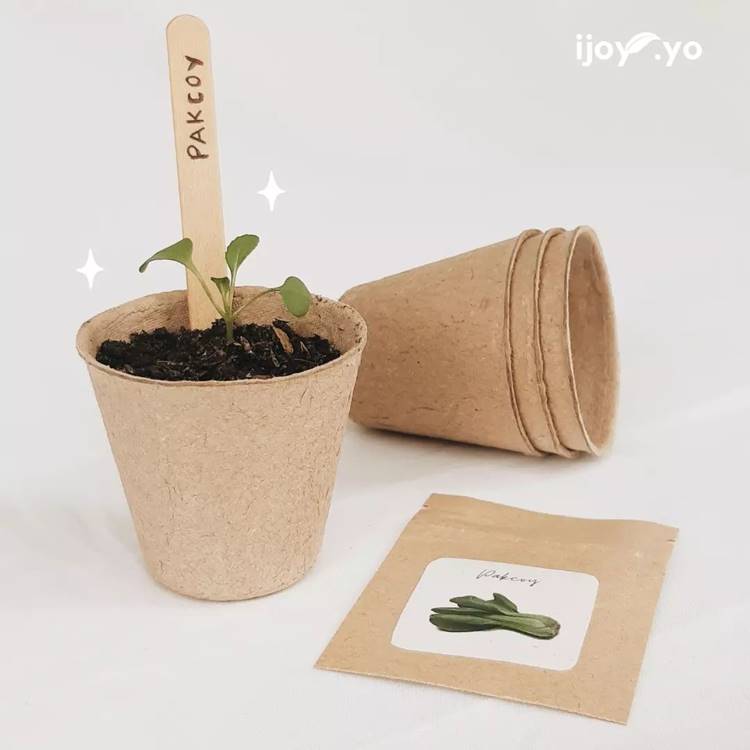 Kit simples jardinagem.