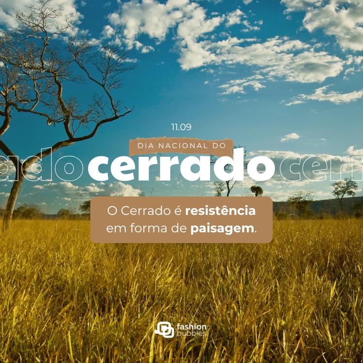 Paisagem do cerrado e frase em retângulo marrom: O Cerrado é resistência em forma de paisagem.